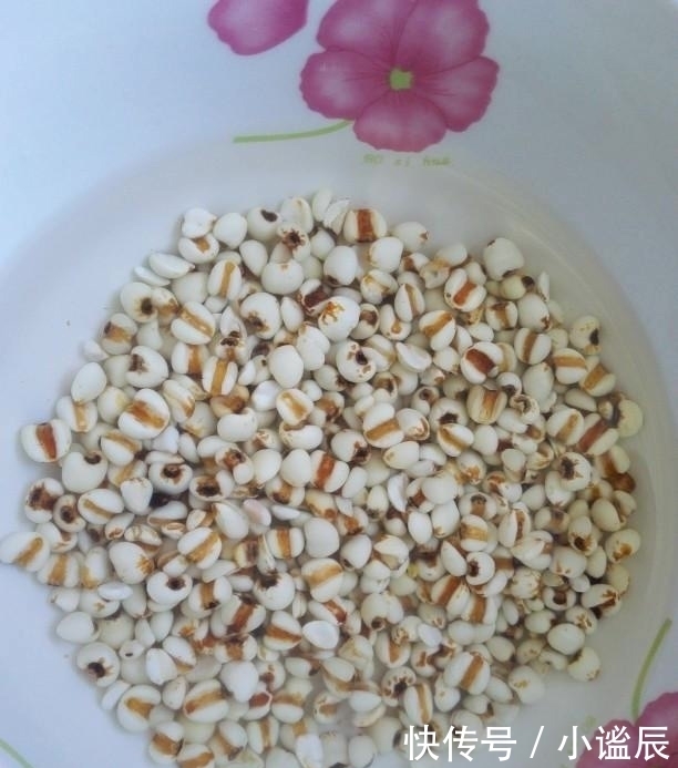 薏米|天然“黃體酮”被發現，女人常喝，淡斑抗衰，40歲仍是少女臉！