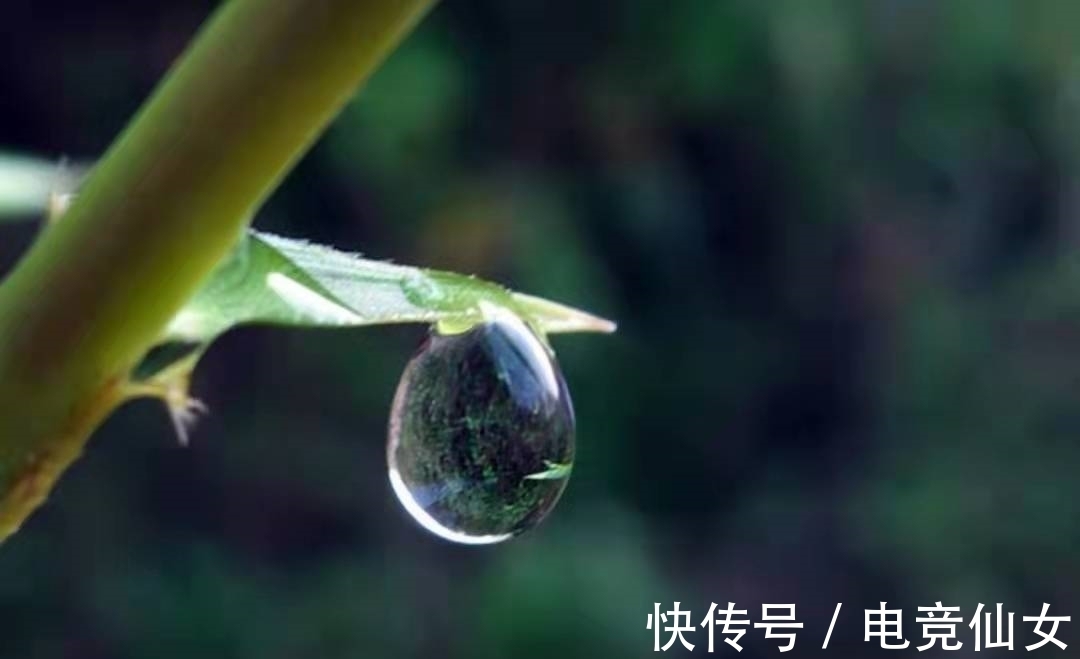 诗人$在关于“雨水”的古诗词中,这首诗尤其美妙,有多少人读过?