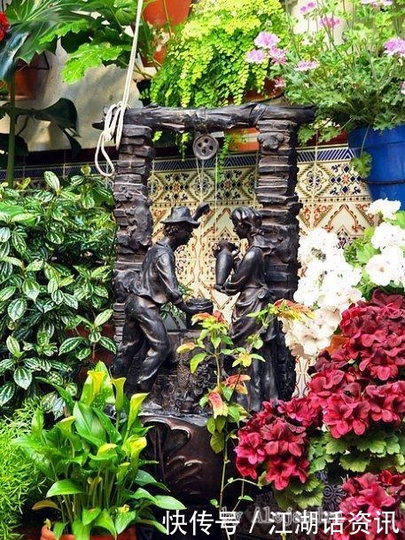 不一样的“庭院花园”，花草都上了墙