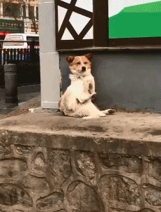 |搞笑GIF: 姑娘你好皮 是不是刚才不小心掉进水里面了