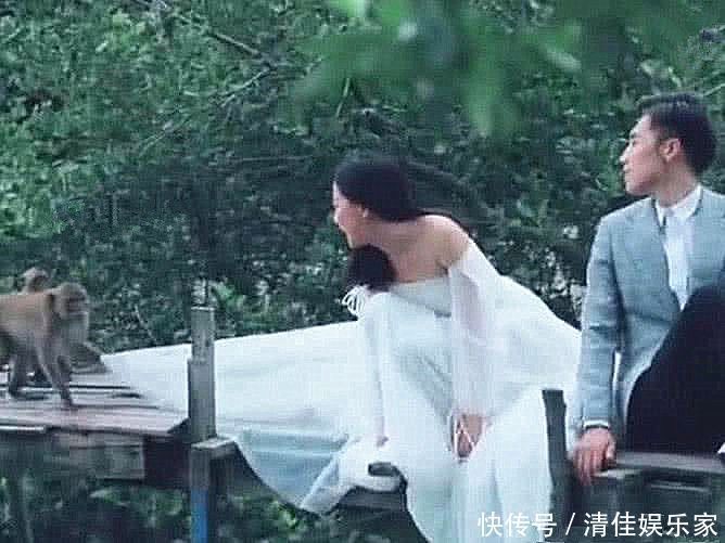 猴子|情侣野外拍婚纱照,遭到一只猴子掀裙底,成片效果却有惊喜