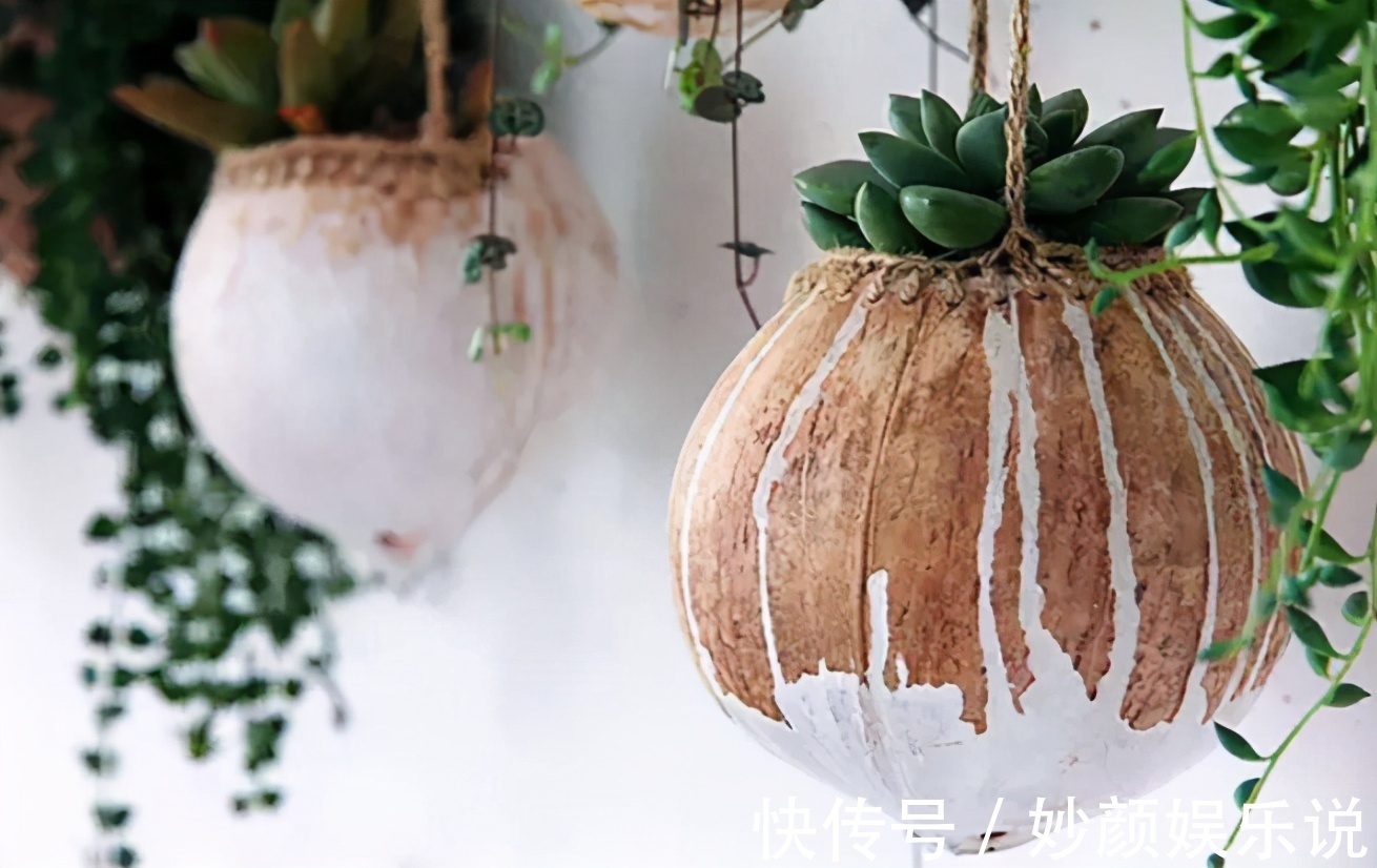 扦插植物,缺少更多花盆?将它们改造成容器,好用好看又省钱