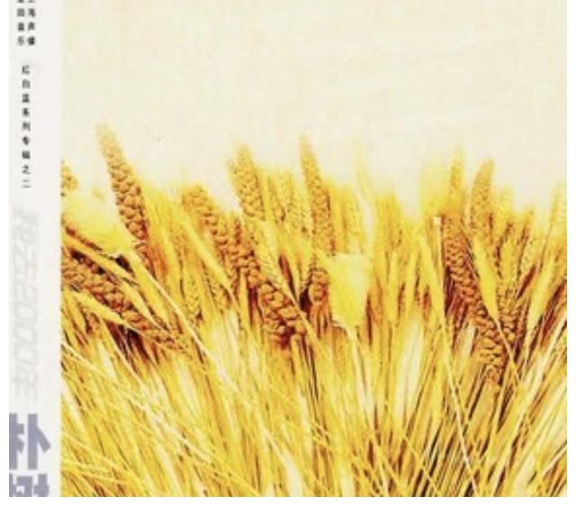 爷青回!网易云音乐宣布英皇版权回归,那些记忆中的金曲回来了