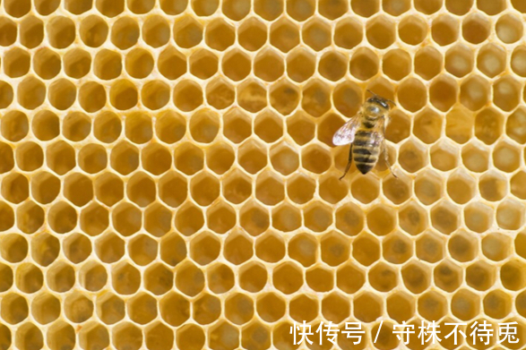 臭味|22个冷知识：或许看起来有些荒唐，但却有所依据的有趣事实