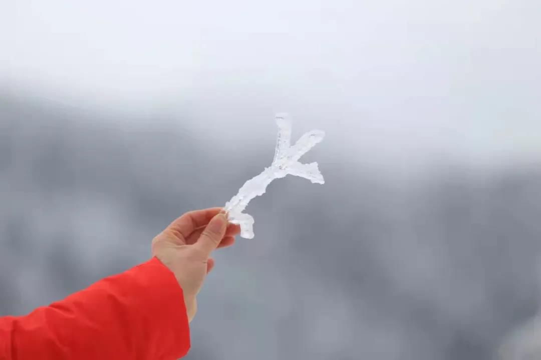 雾凇|绝了！天台冬季美景，宛如冰雪世界！一天看8小时都不够!