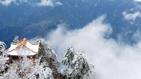 王志霞|终南山第一女隐士,40多年未曾下山,85岁高龄曾连续打坐108天