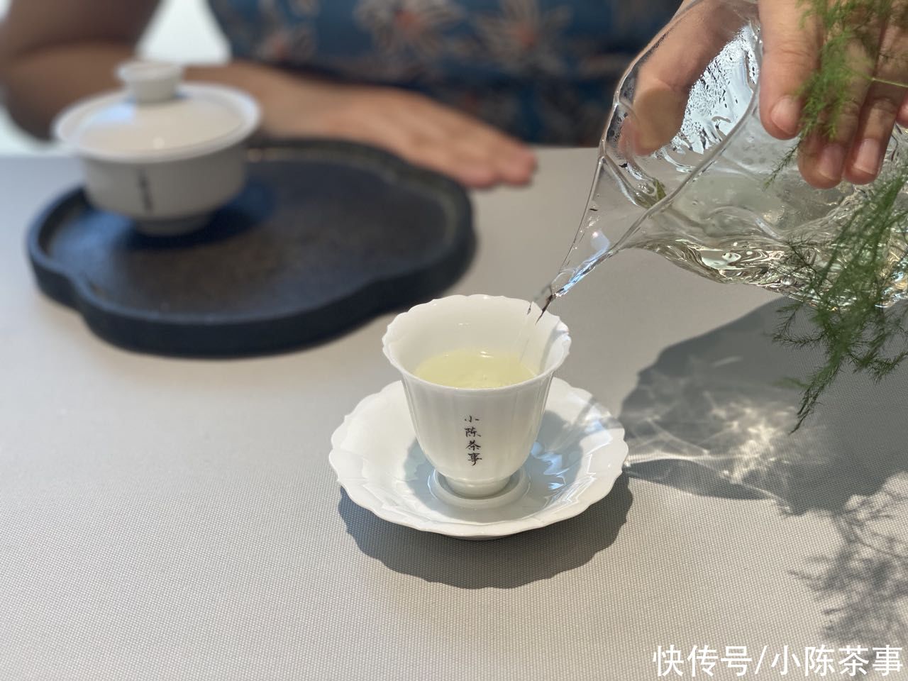 白茶|90℃的温水，100℃的沸水，哪个才是冲泡白茶的最优解？