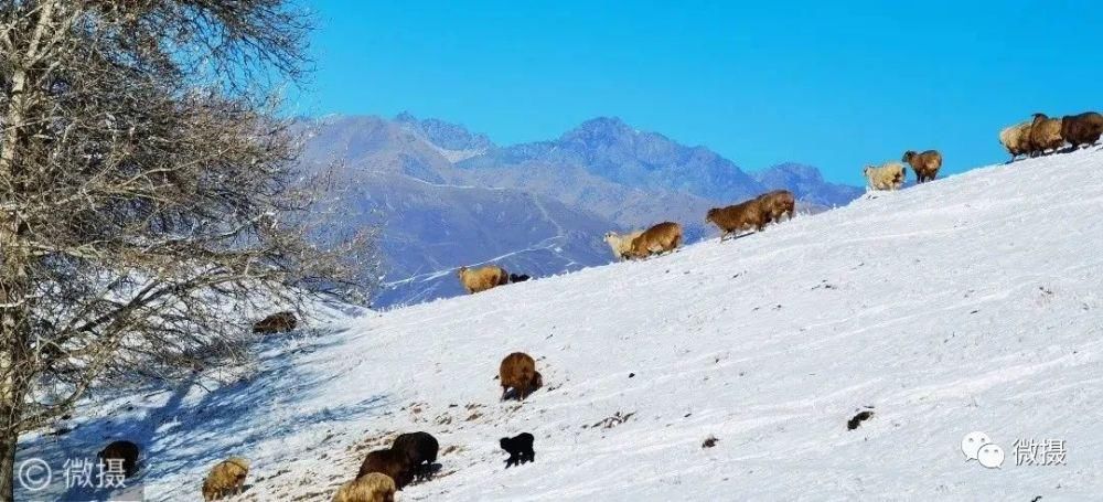 童话|那拉提将童话带入现实，这样的雪景你心动了吗？