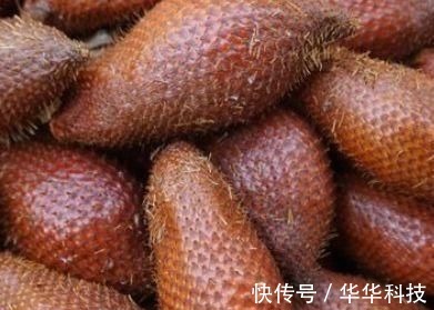 皮肤|女性不想老太快,要多吃此果,皱纹淡了,皮肤白了,越来越年轻