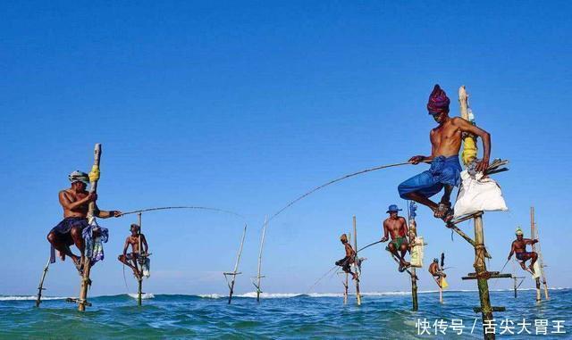 捕鱼|神奇的“高跷捕鱼”,钓鱼不需要鱼饵,大鱼自己就上钩!