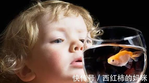 孩子|孩子有这些“怪癖”,暗示他智商会很高,家长可别逼着孩子改