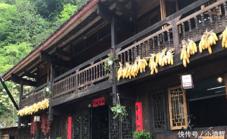 黄磊 向往的生活:蘑菇屋伙食升级,黄磊吃火锅笑容满面,节目组不坑了