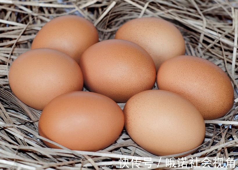 虾皮|人老了之后，该如何补充营养？7种食物再差钱也要吃，快点记下来