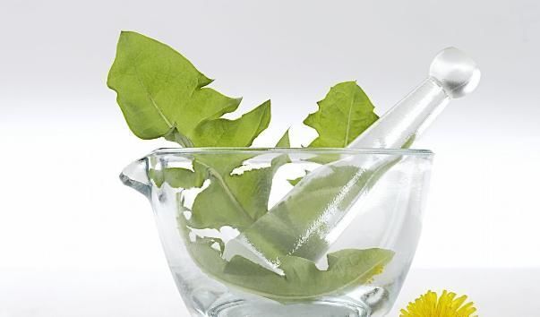 清热解毒|蒲公英和此物“天生一对”,连喝三天,肝脏更健康,口臭也没了