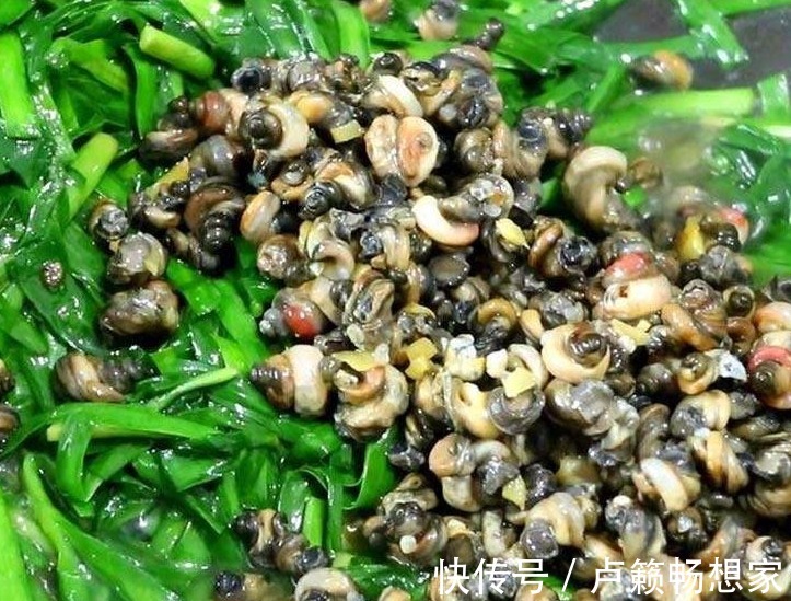鲜香|韭菜别炒鸡蛋,试试和它一起做,鲜香味美,比小龙虾吃着过瘾