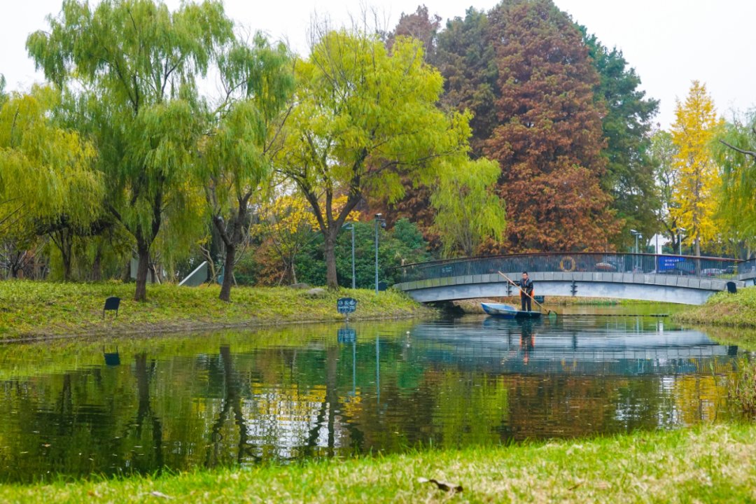 觅得|觅得浦东红黄暖，正是一年好“冬”景