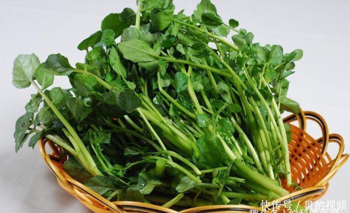 包菜|会吃的人更健康,三种食物换着吃,养肝补肾,活血消肿,降压减脂