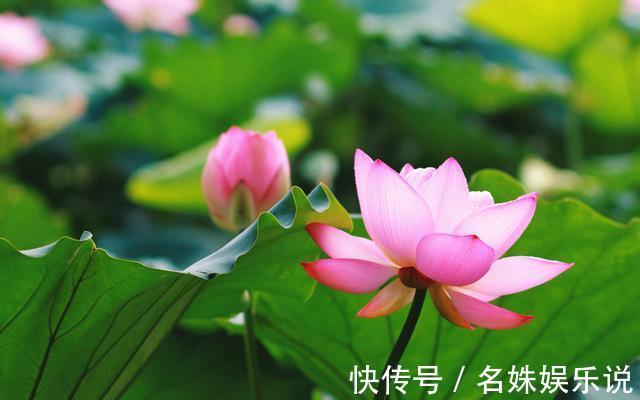 孩子|孩子,我不欠你的吃不吃读书苦,决定你以后靠脑子还是靠力气吃饭