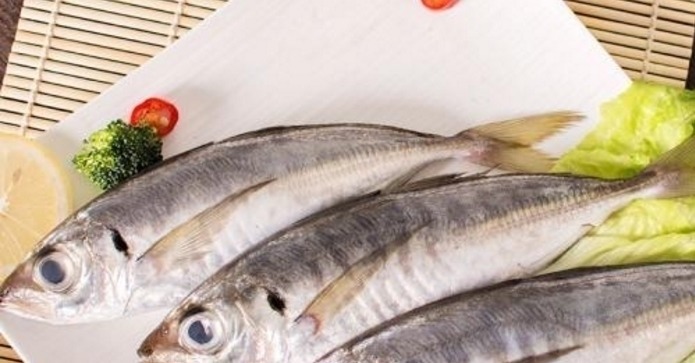 好吃又便宜的5种海鱼,老板说:买这5种鱼的基本上都是懂鱼的行家