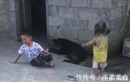 萌娃|萌娃下乡“放飞自我”火了，一旁的狗子：别看我，可不关我事！