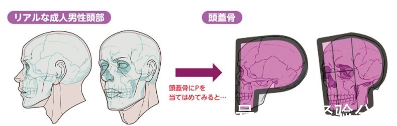 绘画!人体头部轮廓怎么画?教你画出好看头部的诀窍!