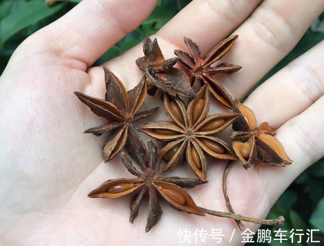 肉制品|炖羊肉时，最忌放这一味料，只要放了它，一锅汤全毁了！很可惜