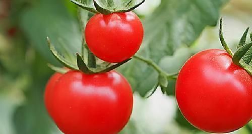 抗氢|女性担心老的快,不妨常吃3种食物,补足气血,身体棒棒哒!