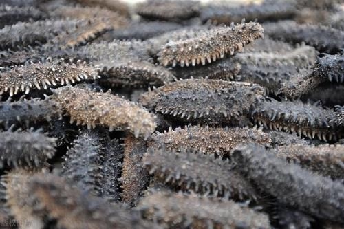 人因|11人因牛肉汤进急诊！冬季进补就一定要喝牛羊肉汤吗？