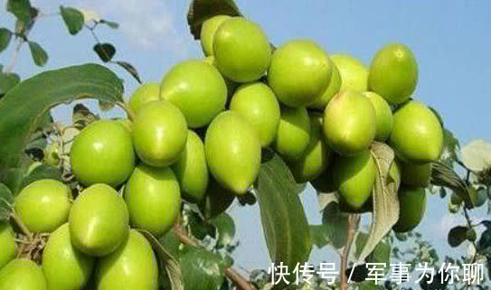 矿物质磷|女性不想早衰老,多吃三种食物,补充营养,调理肠胃,增强体质