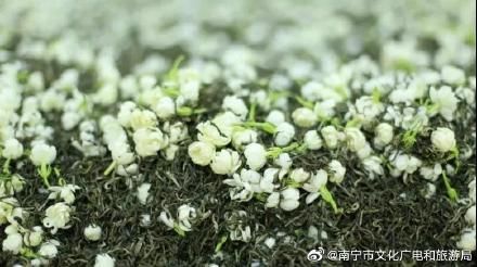 舌尖|舌尖上的非遗——横县茉莉花茶