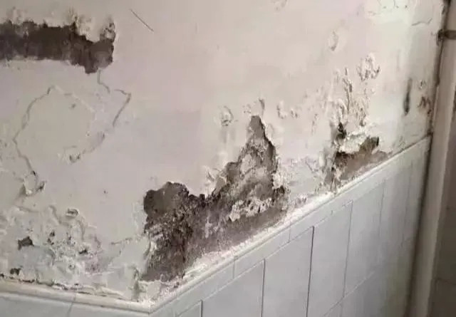 涂抹|防水施工千万马虎不得,隐蔽工程要杜绝后患