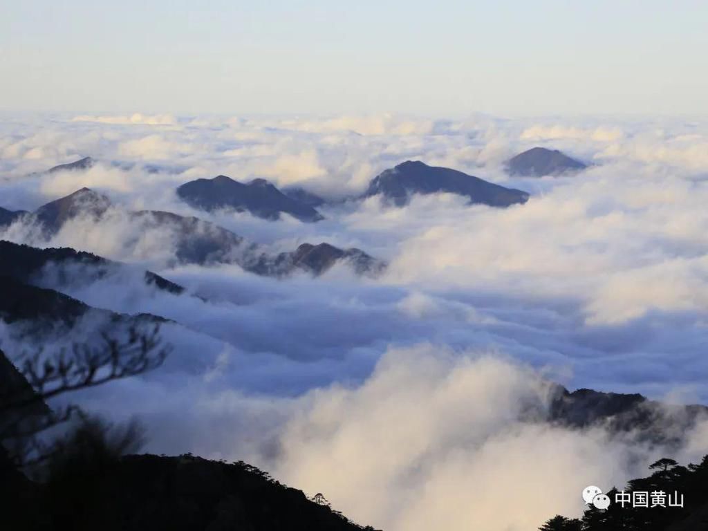 壮观绝美！黄山再现“海”上日出！