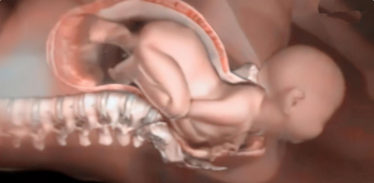 头部|为什么顺产会很痛4张图讲解原因,妈妈没有容易的