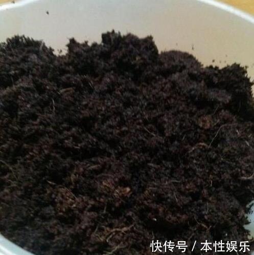 塑料袋|养花土,用一个塑料袋,轻松杀虫灭菌,花盆里一个虫子都没有