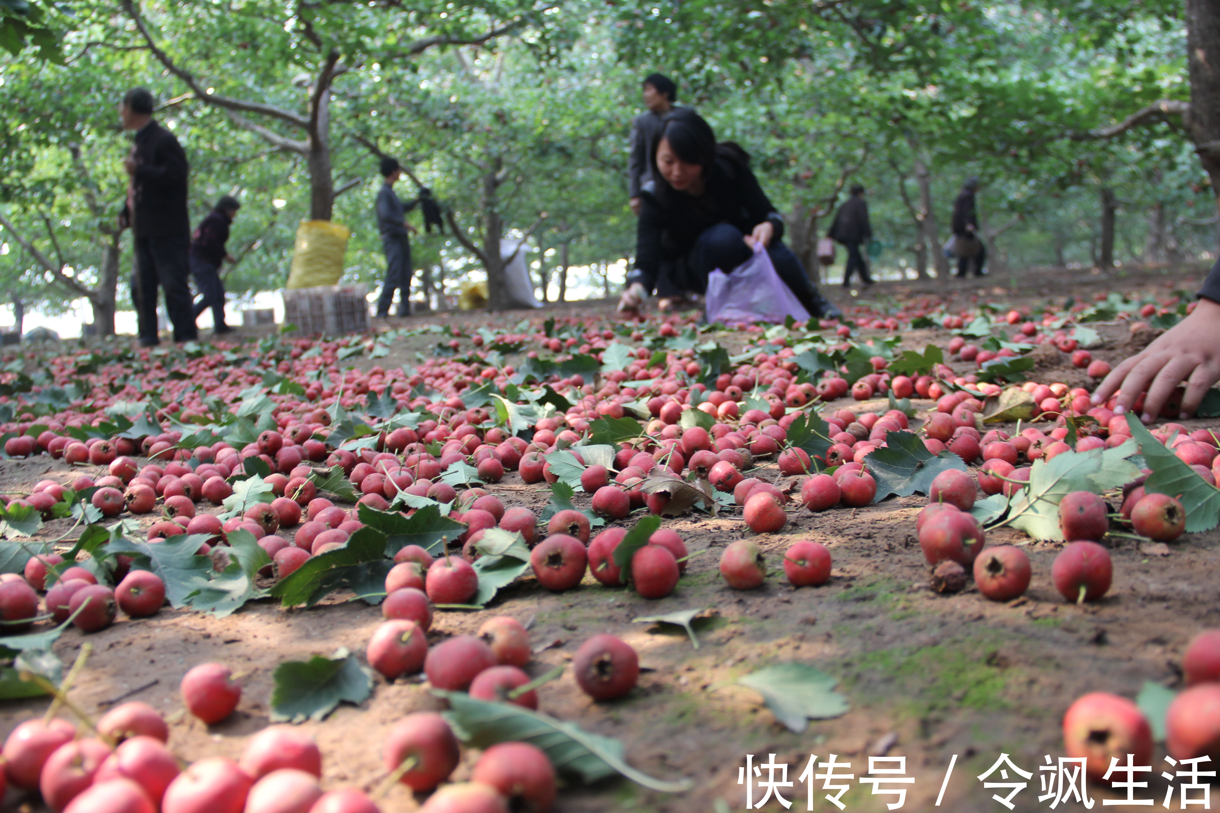 山楂|养子宫就是养命！这3种食物越吃子宫就变得越干净，还能加速污血