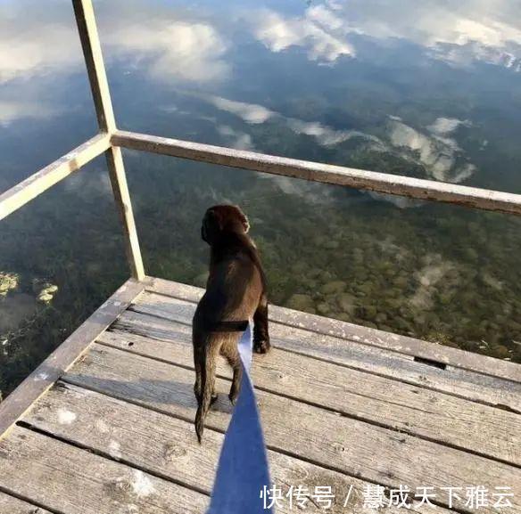 真相&24张欺骗你的眼睛照片,眼见也不一定为实!