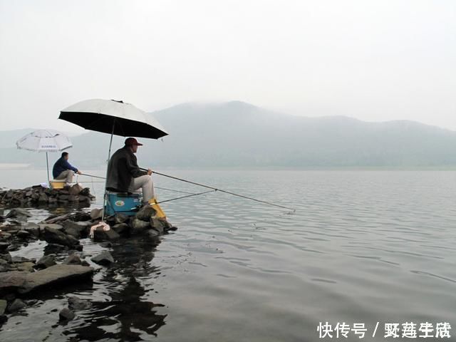 放弃|总有人说要放弃台钓,事实是有些人、有些环境下不适合玩台钓