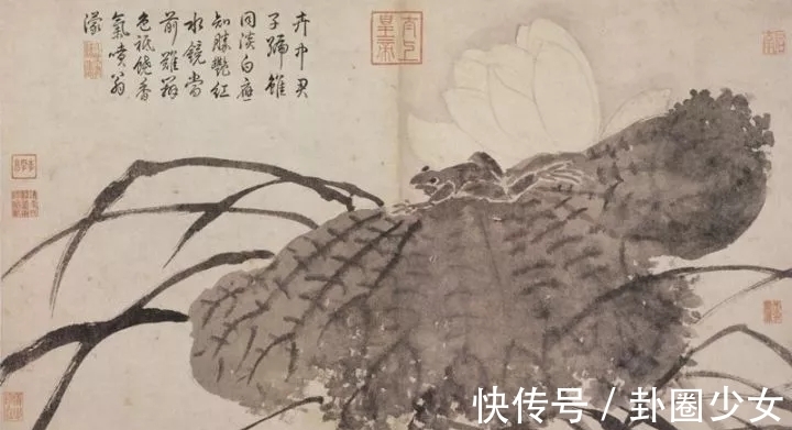 观物写生册&明代对景写生大家|沈周花鸟画《观物写生册》