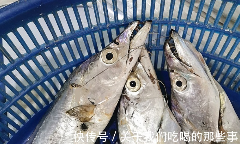 都是带鱼,为啥有的一斤10元,有的300元?老渔民告诉你差在哪儿