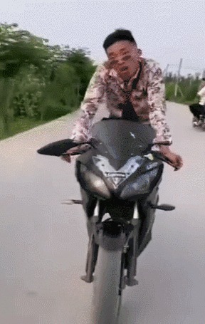 |搞笑GIF:这只小猫咪是来碰瓷的吗?原来是有惊无险,哈哈哈