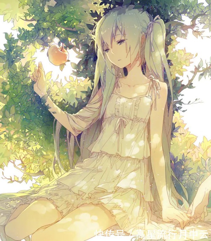良心|花60元买初音未来的圆珠笔,被骂人傻钱多,这个价格良心吗
