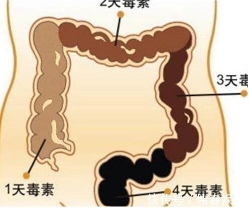 屁味儿|老是放屁你以为是在排毒大错特错,其实那是身体发出的警示!