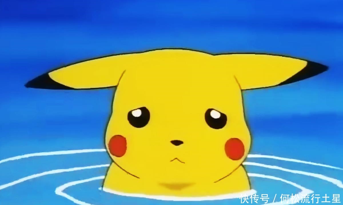 波克基古|《宝可梦》动画第一颗精灵蛋备受呵护的波克比,小霞捡了大便宜