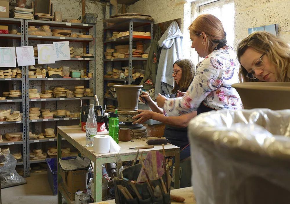  看完这个，想把家里花盆丢了