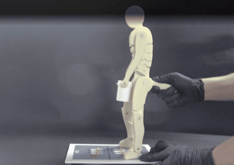 膝关节|这套“人造肌腱”装备，可保护你的老腰｜Science子刊