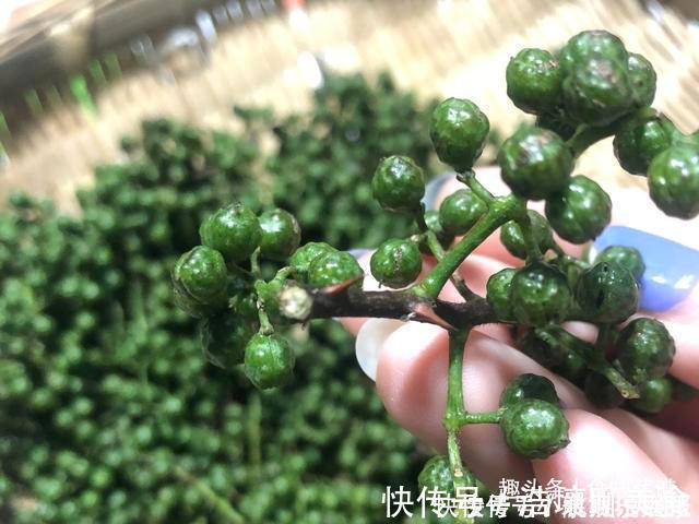 正确做法|花椒油直接用油炸不对，大厨教你正确做法，又香又麻，方法还简单