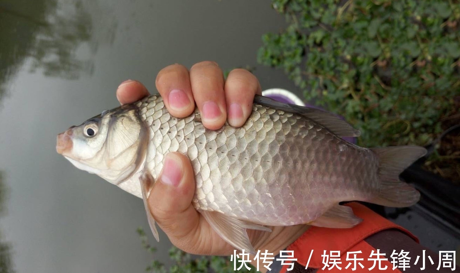 冬季鱼口轻难抓口?用这4招放大信号,一钓一个准