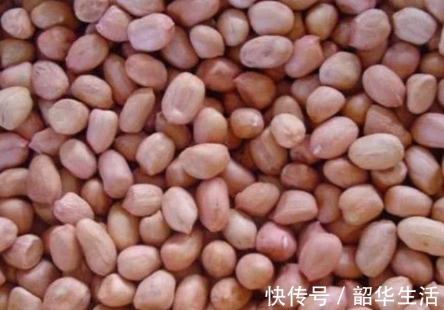 孙安迪|花生的“最佳搭档”找到了,搭配一起煮,营养翻倍,肾气也补满!