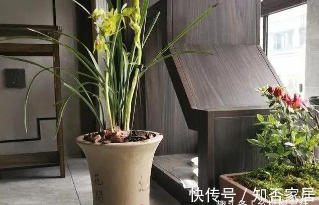 土壤|花卉土壤又粘又湿，养花最容易烂根，如何解决这个问题？
