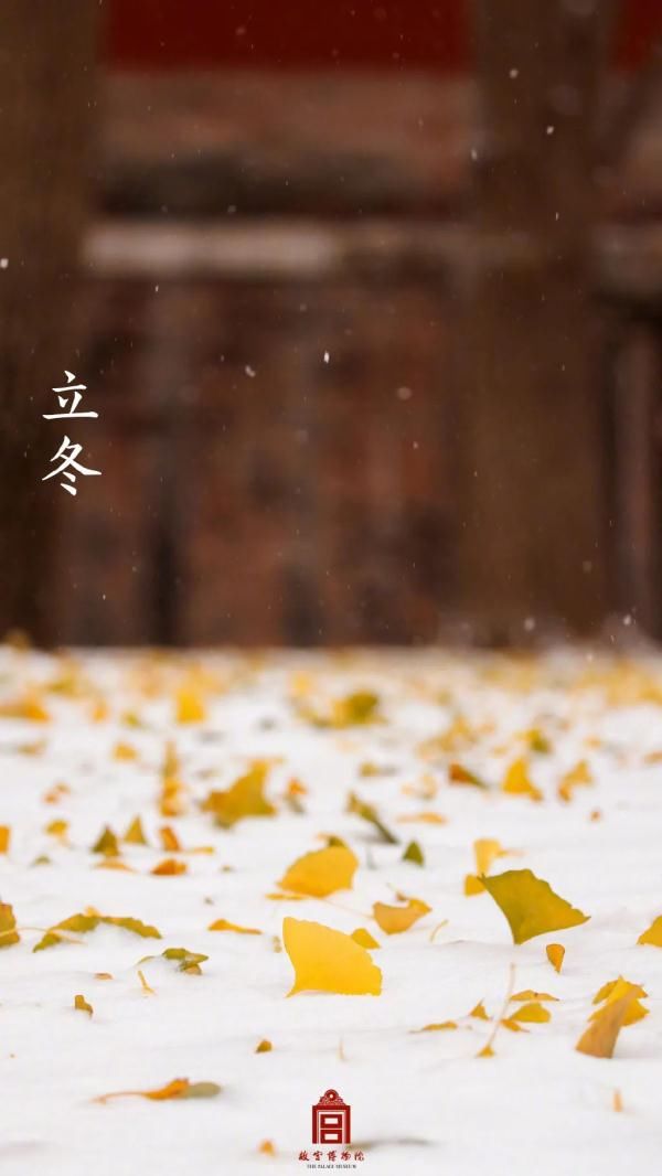 紫禁城|故宫雪景新片来了！带你看紫禁城绝美四季